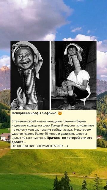 Женщины-жирафы в Африке 🤯 смотреть онлайн