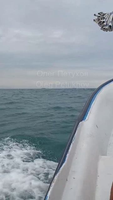 Иран. Iran. 伊朗。 смотреть онлайн