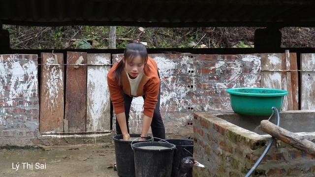 115 Days: Harvest spinach, carrots and zucchini and take them to the market l Lý Thị Sai смотреть онлайн