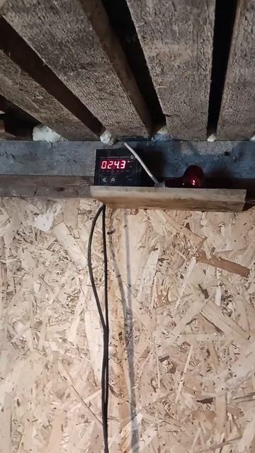 Как поживают куры в моем курятнике #историиизжизни