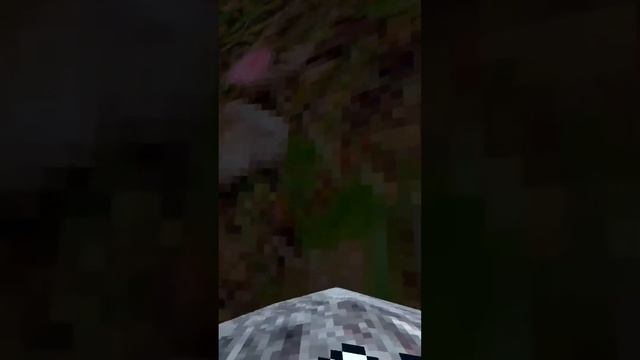 Stupid furry gets clipped in gorilla tag смотреть онлайн