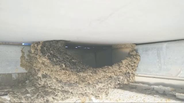 ЛАСТОЧКИНО ГНЕЗДО 16 смотреть онлайн