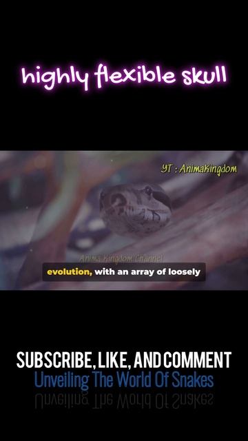 Unveiling The World Of Snakes : highly flexible skull #animals #animal #animalfacts #snake #snakes смотреть онлайн