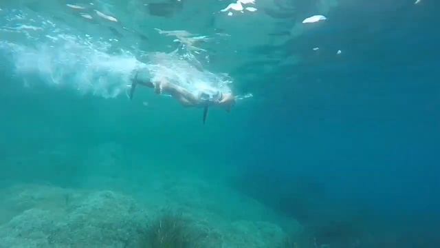 SEABIKE смотреть онлайн