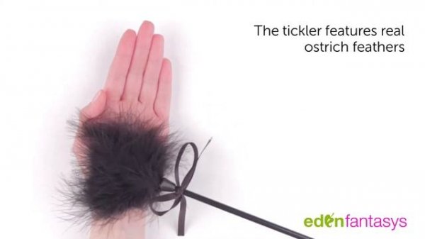 Feather And Crop | Spanker & Tickler