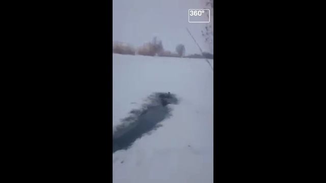 Охотник голыми руками достал провалившихся под лед кабанов смотреть онлайн