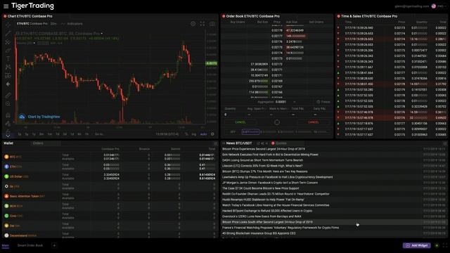Tiger Trading Tutorial - Intro to the Platform смотреть онлайн