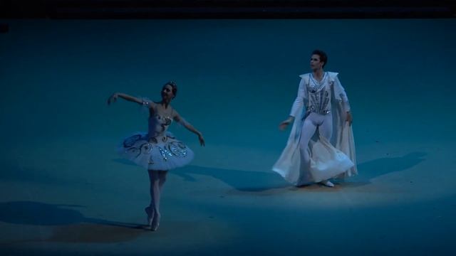 Ева Сергеенкова, Артем Овчаренко - дуэт Раймонды и Жана де Бриена из 2 акта балета "Раймонда" смотреть онлайн