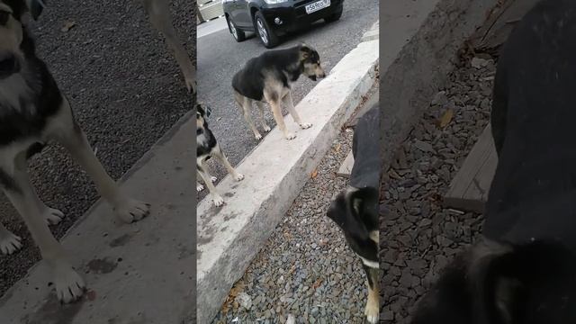 Встречальщик получит первый. смотреть онлайн