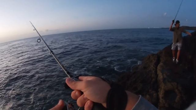 SPINNING TENERIFE -tris di BARRACUDA смотреть онлайн