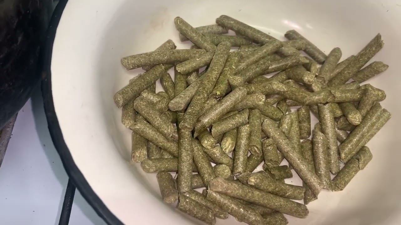 День в курятнике/СЕРА КОРМОВАЯ В ПОДСТИЛКУ ДЛЯ КУР/ЧАЙ ДЛЯ КУР+КАЛЬЦИЙ БОРГЛЮКОНАТ/ОПЛОД/МЕШАНКА КУР смотреть онлайн