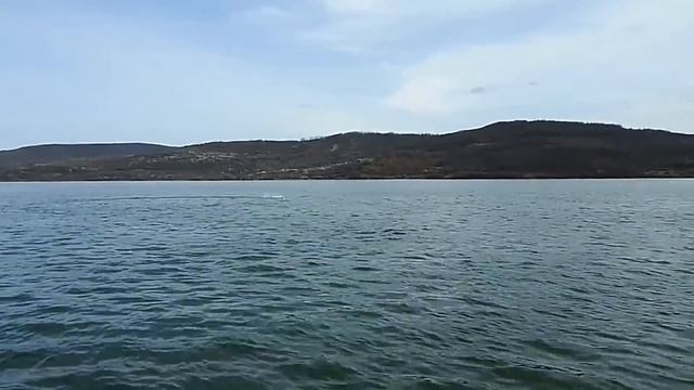 TESTING THE FEI-LUN FT011 65cm BRUSHLESS RACING BOAT ON THE WAVES IN A WINDY DAY (COURTESY BANGGOOD смотреть онлайн