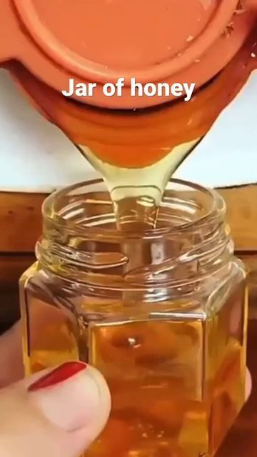 Filling up a jar of honey #beehoney #beekeeping #ytshorts #shorts #honey смотреть онлайн