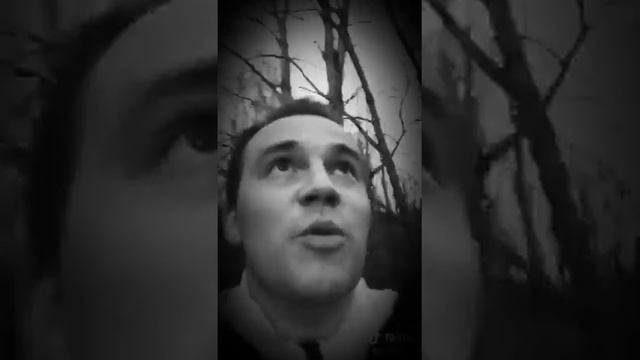 Гусь из ТИК ТОКА смотреть онлайн