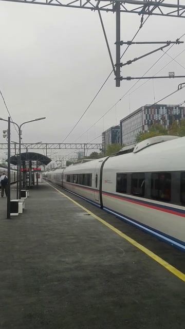 ЭВС1-11 и ЭВС2-02 "Сапсан" с сообщением Москва-Санкт-Петербург на станции Останкино #ржд #эвс1 #эвс смотреть онлайн