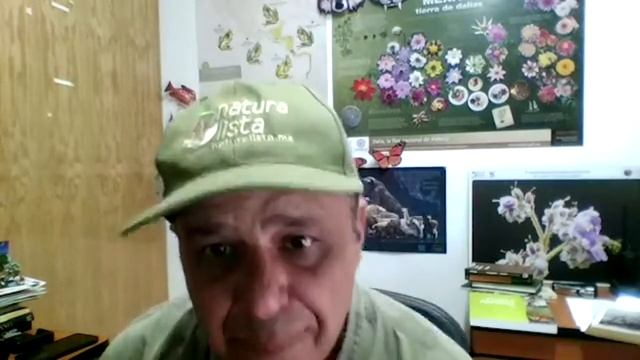 La biodiversidad en tu casa, Biól. Roberto Arreola Alemón, CONABIO. смотреть онлайн