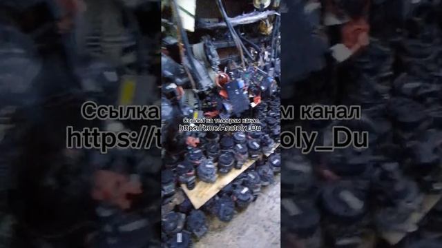 Ноускаты на любые авто. Ноускат на авто смотреть онлайн
