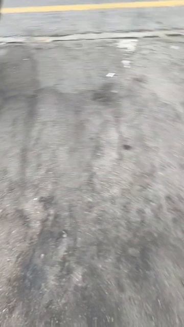 Главный дворник🤣#смешнаяистория#смешнаяподборка#лабрик#собака#любовь#животные#игра#щенок#лабродор смотреть онлайн