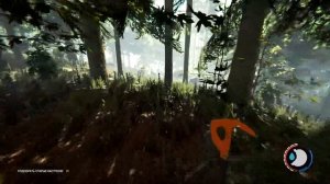 Видеокамера #5 // The Forest