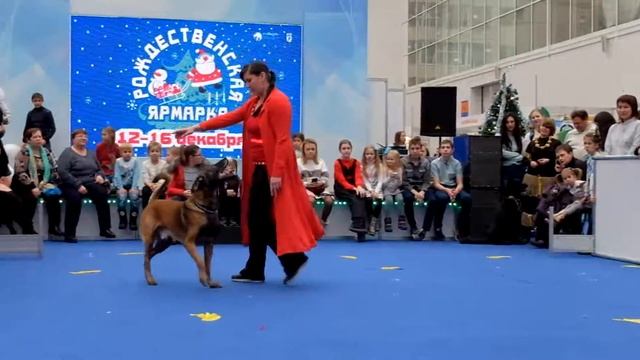 16 12 2018 фристайл Ася и Крис