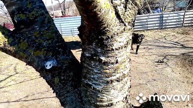 Ходим строем на обед, а с обеда на банкет! смотреть онлайн