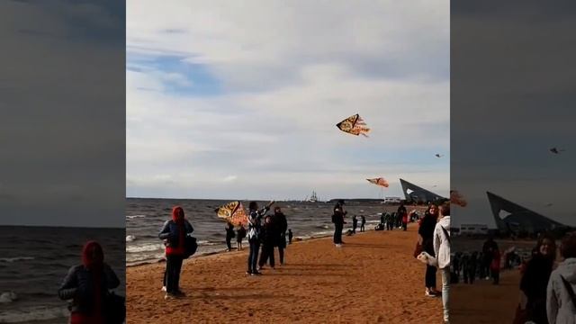 фестиваль воздушных змеев, парк 300летия Петербурга смотреть онлайн