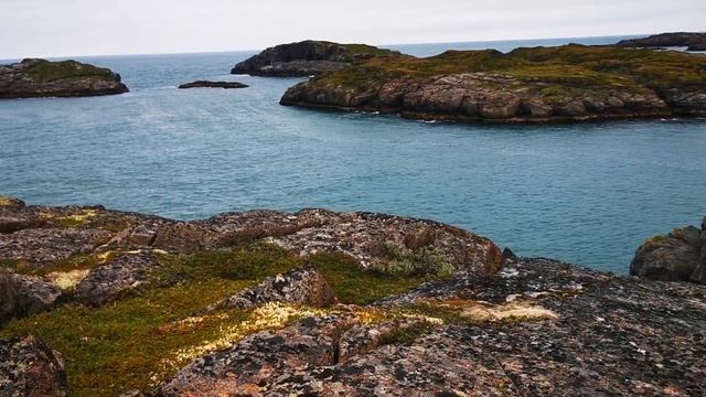 Дальние Зеленцы смотреть онлайн