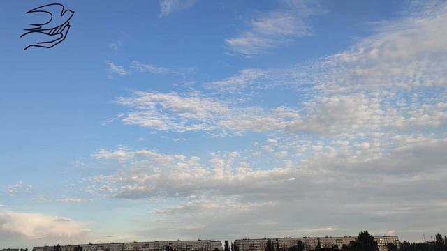 Выпуск 6 взрослых стрижей 2021 год. смотреть онлайн
