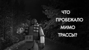 ЧТО ПРОБЕЖАЛО МИМО ТРАССЫ  Страшные истории МГЕ