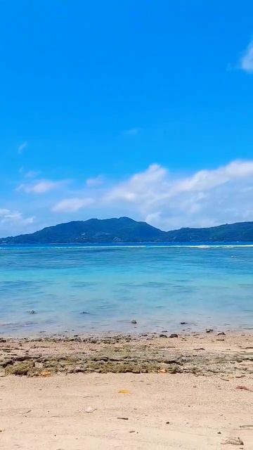 Tri Trang Beach Patong Phuket Thailand 30 July 2023 #shorts #youtube #yearofyou #youtubeshots смотреть онлайн