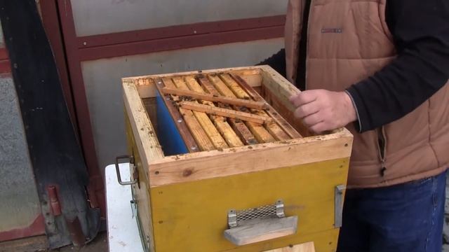 Зимовка пчел не АЙС Осмотр погибшей семьи смотреть онлайн