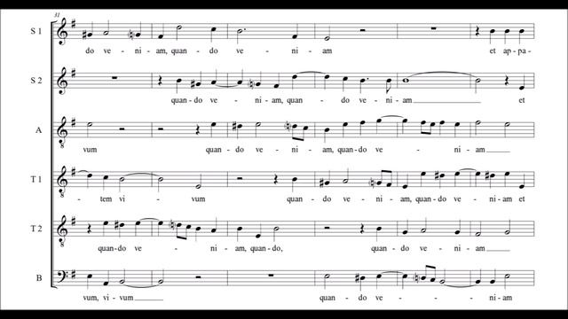 Manuel Cardoso - Sitivit anima mea смотреть онлайн