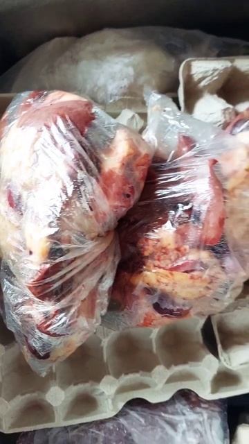 Мы купили еду для наших котят! Приют на дому! Куриные потрошки!😋😋😋Коты довольны!😽😽😽#shorts#дом#коты смотреть онлайн