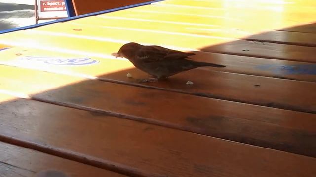 Воробушек) смотреть онлайн