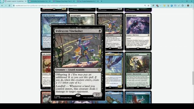 BLOOMBURROW EDH - SET REVIEW - Letters G-O - Analysis & Commentary of MTG's Upcoming Set Magic BLB смотреть онлайн