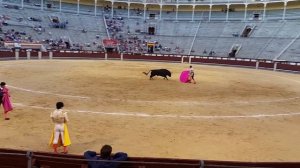 Коррида corrida