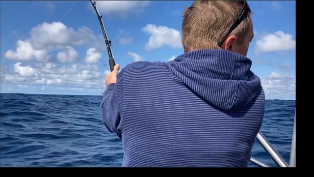 Newcastle/Swansea Winter Marlin смотреть онлайн