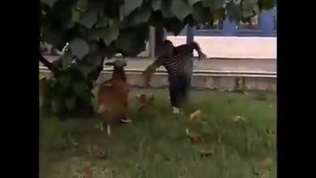 Лютый зверь смотреть онлайн