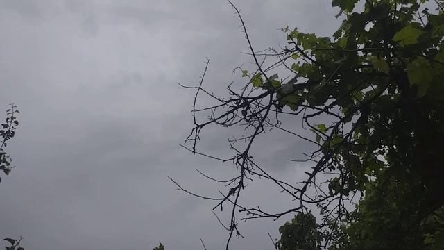 Каме сухбат дар бораи занбури рой баромадаги ва хамлаи замбурхуракхо 2020 смотреть онлайн