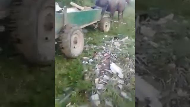 Спалили на вывозе мусора смотреть онлайн