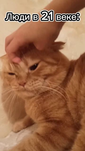 Что правда,то правда😹 смотреть онлайн