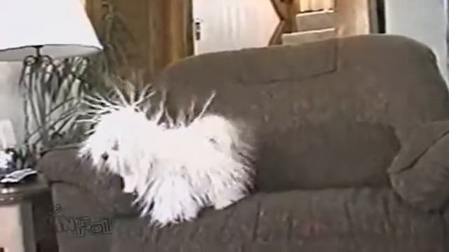 Самое позитивное видео - электрический пес смотреть онлайн