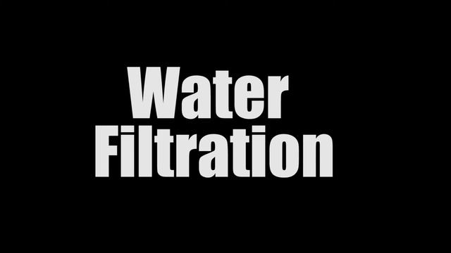 Rosy Barb Care Tips смотреть онлайн