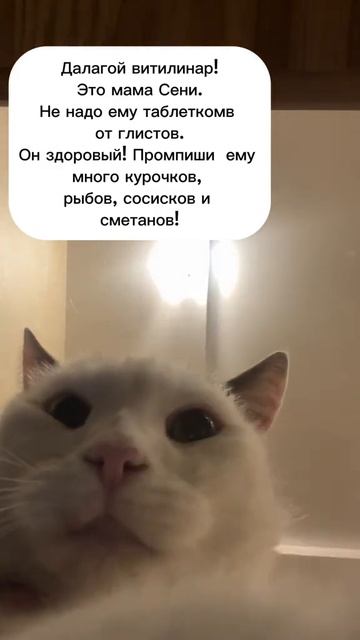 ПИСЬМО ВЕТЕРИНАРУ🤣 смотреть онлайн