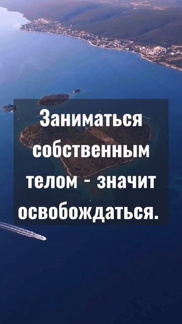 Цитаты из книг. Искусство жить просто. Доминик Лоро. Стр 105 #motivation смотреть онлайн