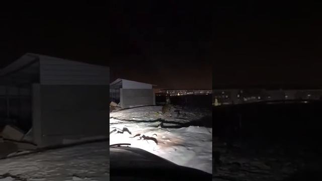 КШТ-да қасқырлар жүр смотреть онлайн