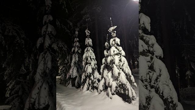 Тормозная мошенница звонит из "проекта Криптач" [автор: Лев] смотреть онлайн