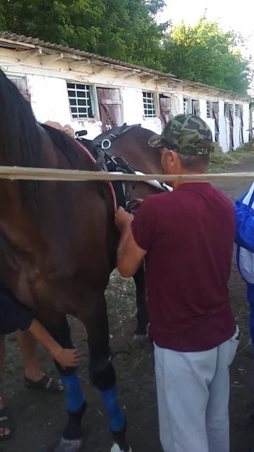 Вездесущий Юрий Рябов всегда придет на помощь.Оренбург 16.07.2022 смотреть онлайн