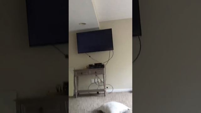 Closing To Looney Tunes Golden Collection Volume 6 2008 DVD (Disc 1)