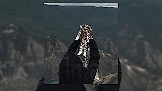 Екатерина Яшникова - Я останусь одна-на-на, заведу 10 кошек, буду вечно пьяна //speed up// смотреть онлайн